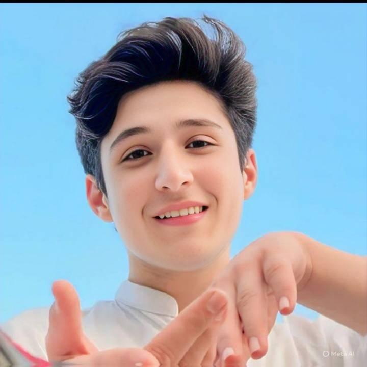 Hassan Raza khan